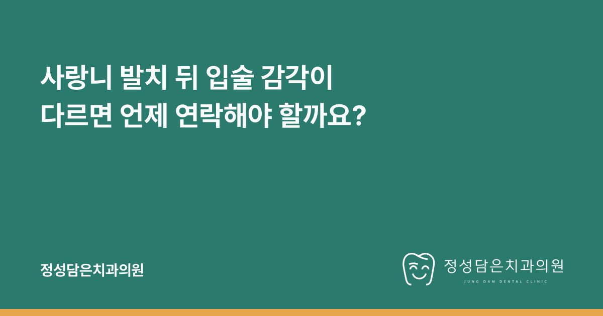 사랑니 발치 뒤 입술 감각이 다르면 언제 연락해야 할까요?