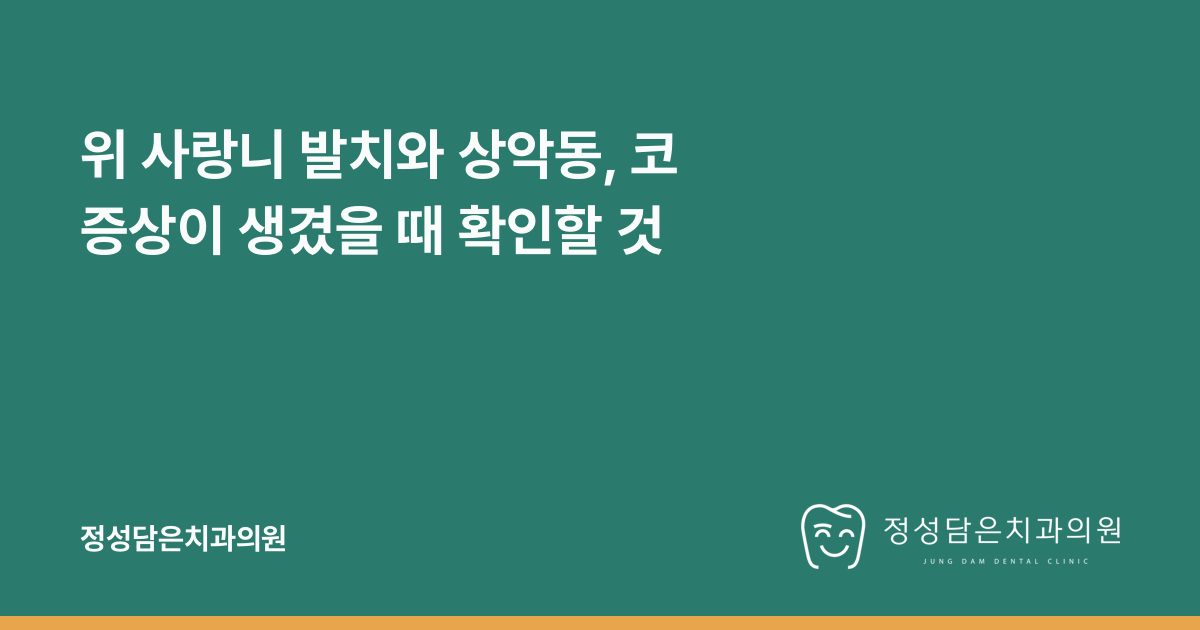 위 사랑니 발치와 상악동, 코 증상이 생겼을 때 확인할 것